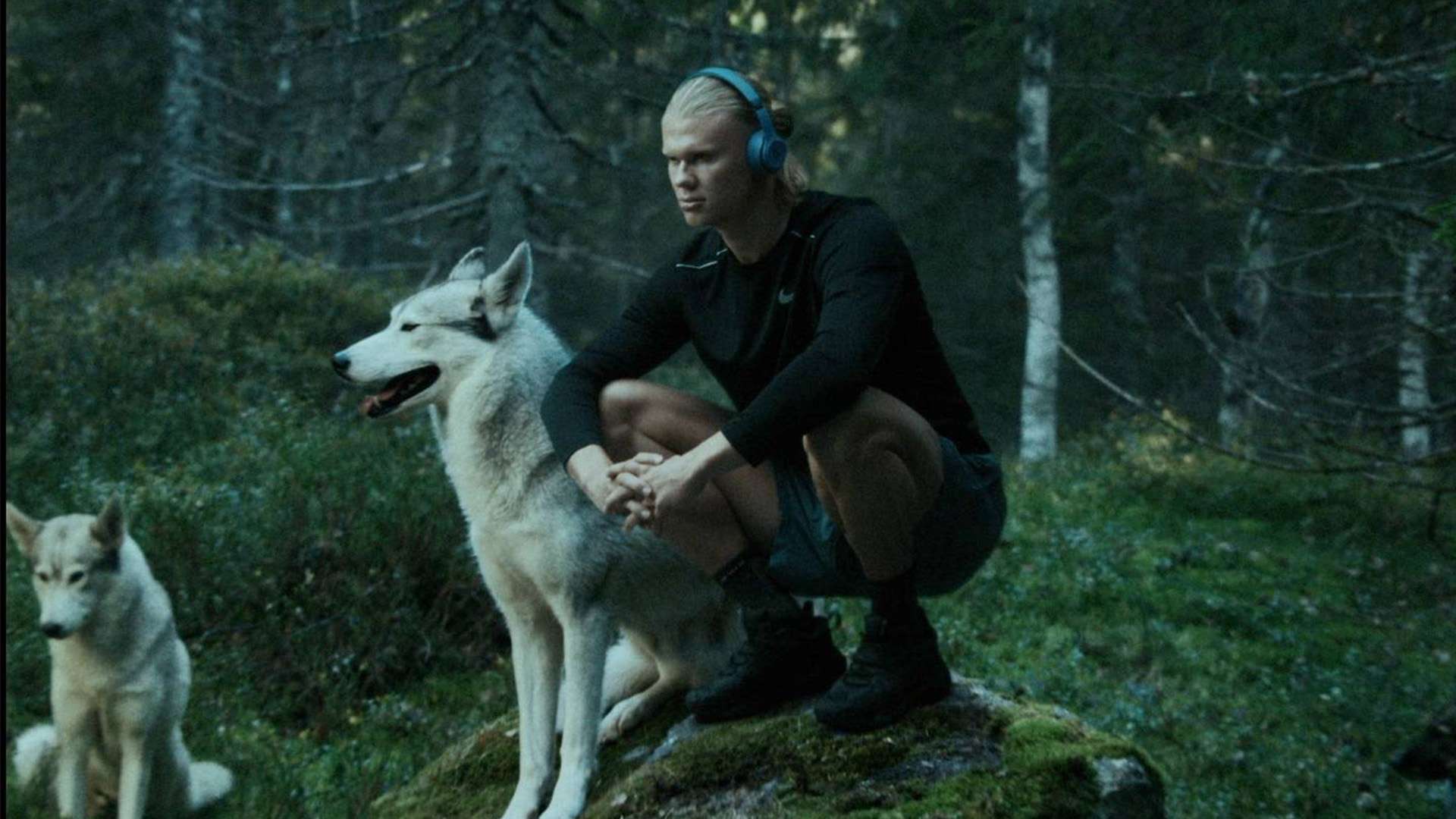 然凭借高效 然凭借高效